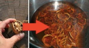 Čaj z orechových škrupín, ktorý zlepší život! Recept, ktorý má blahodárne a liečivé účinky