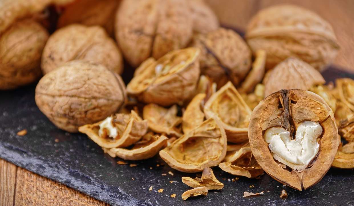 Už nikdy nevyhadzujte škrupiny orechov. Veľké tajomstvo, ktoré má cenu zlata!
