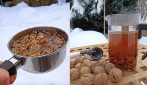 Čaj z orechových škrupín má úžasné účinky, ktoré by mal poznať každý z nás! Domáci liek