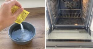 4 minúty a rúra žiari ako nová: Absolútny likvidátor mastnoty BEZ drhnutia, hubku ani nepotrebujete!