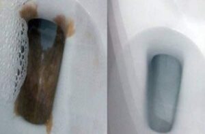 Takto odstránite tvrdý, tmavo zafarbený vodný kameň usadený na dne toalety počas niekoľkých sekúnd!