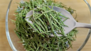 Rozmarýn a jeho vliv na zdraví