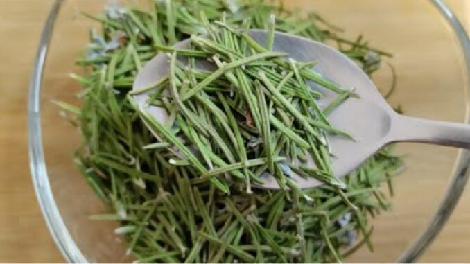 Rozmarýn a jeho vliv na zdraví