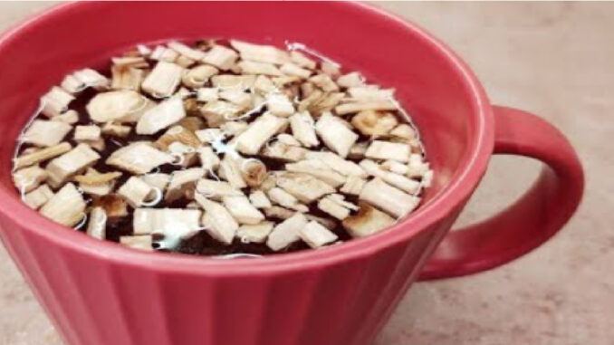 Proskurník lékařský