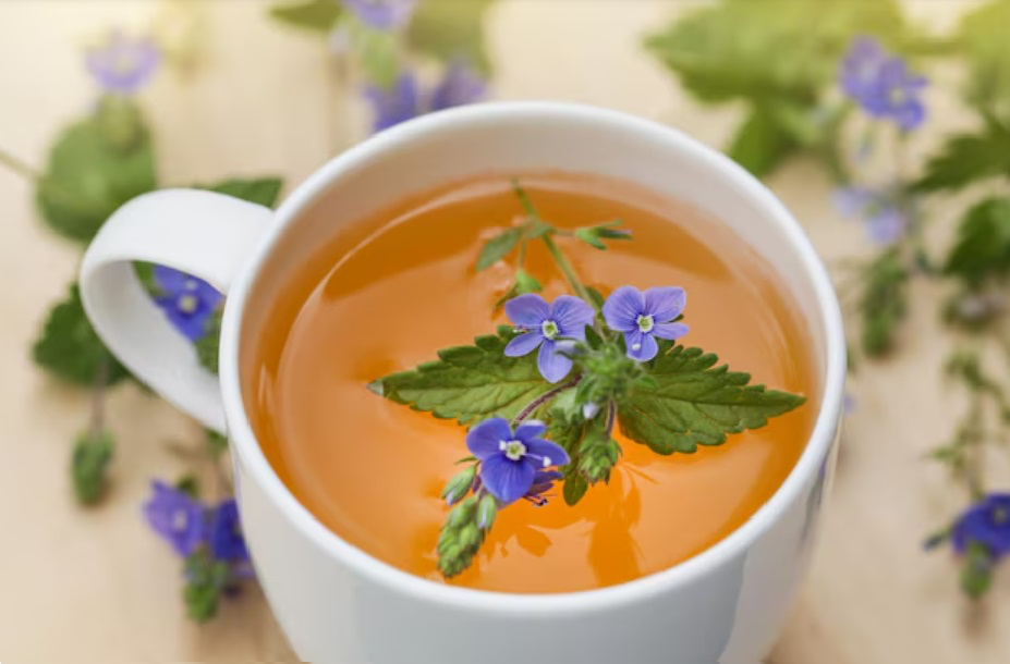 Rozrazil lékařský