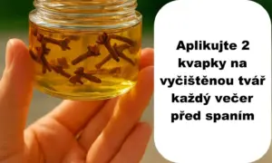 hřebíček