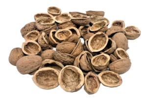 Neuveríte, čo sa skrýva vo vlašskom orechu. Časť, ktorú všetci vyhadzujeme, môže byť cenným elixírom zdravia