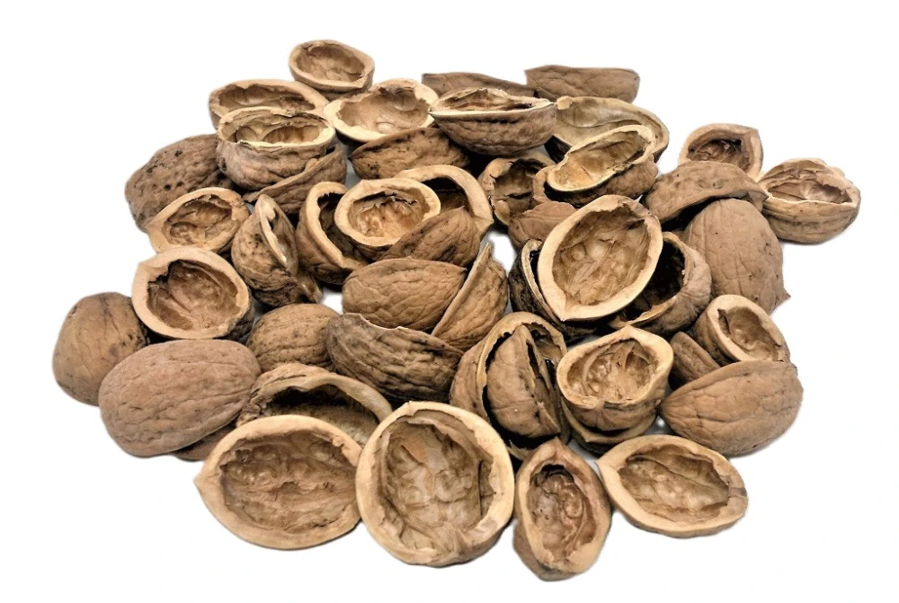 Neuveríte, čo sa skrýva vo vlašskom orechu. Časť, ktorú všetci vyhadzujeme, môže byť cenným elixírom zdravia