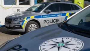Matka otrávila dcérku (3 mes.) pervitínom v mlieku a dostala 8 rokov: nevedela som, tvrdila! Súd jej absurdnú obhajobu zamietol