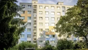 Nájomníci zničili byt: po odchode nechali exkrementy na stenách a úplnú spúšť! Čo čaká majiteľku teraz?
