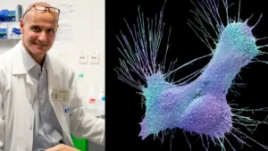 Onkológ Robert každý deň zje túto jednu potravinu: môže znížiť riziko rakoviny! Toto konkrétne odporúča svojim pacientom